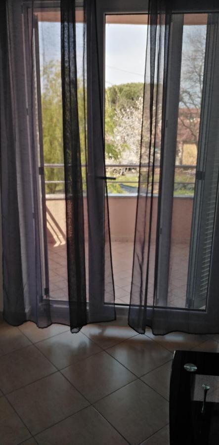 Apartman Valbandon 法扎纳 外观 照片